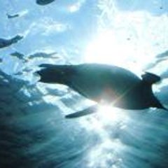 むーたんのプロフィール