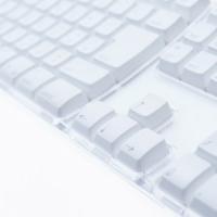 chintai-webteam