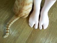 みーこ
