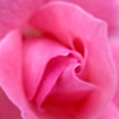 時代のねじれからうまれた虫 ナントカ日記 時代のねじれからうまれた虫 ナントカ日記