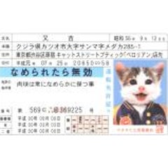 サモンナイト4 第6話 疑惑と不審の 黒いヤツクリアしました アメバv猫男vアメバのブログ サモンナイト4 第6話 疑惑と不審の 黒いヤツクリアしました アメバv猫男vアメバのブログ