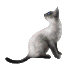 四季