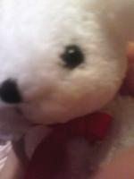 ぁぉぃ
