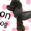 Ｃａｌｏｎママのサムネイル