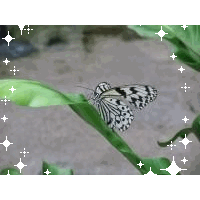 かさなはさな