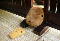ゆきんこ