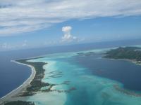 しん