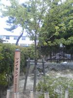 堂本剛太郎