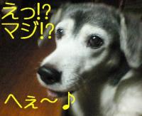 nazonohito