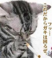 璃人