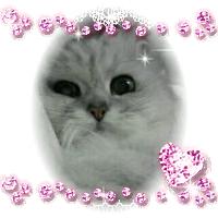 momon♪