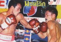 nongbee