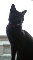 KAZY
