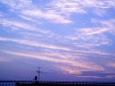 沙良