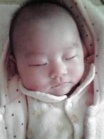 papa★mama