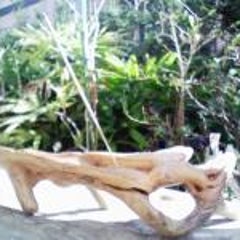 バモスくんリアゲート内張りの怪 Driftwoodのブログ