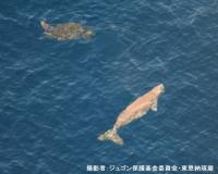 はまのまさ