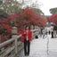 画像 　創業60年 オーダー婦人服店　　赤いクマノミのブログ　　at 渋谷のユーザープロフィール画像