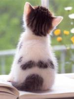 はな