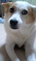 ﾉｲｼｭ