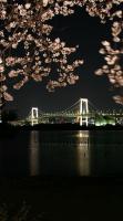 ぽっくん