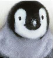 シグ