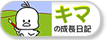 キマ