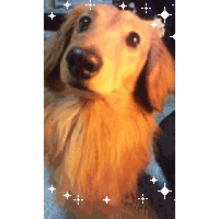 ☆のりぴぃ☆