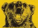 PINEBEAR