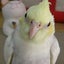 画像 あながちのユーザープロフィール画像