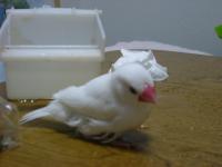 ウナ