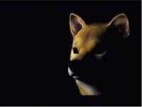 INU-END