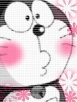 橘花