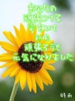 ★ゆか☆