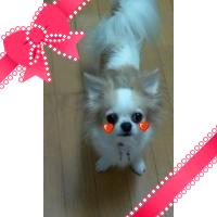 (*`p鈴奈q´＊)☆*。