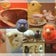 ようこそ！とりみカフェ！！～鳥カフェでの出来事や鳥写真～