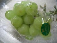 まみこ