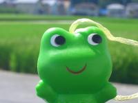 じょじ 
