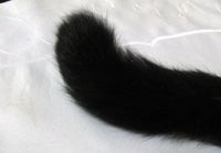ぽち