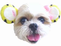 ふらんそあ