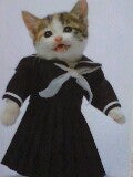 ちゃこ