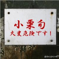 とこ
