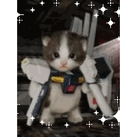高宮 こあ