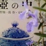 プラリネのわがまま日記のプロフィール