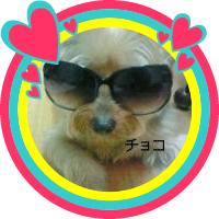 ぱこ