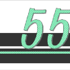 55政党のプロフィール