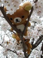 エリーゼ