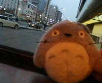 tororo