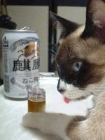 硫酸どろどろなんでも溶かす
