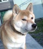 kenta
